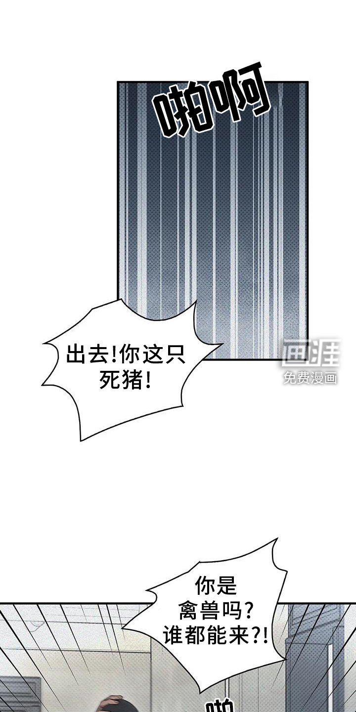 第16章：发现