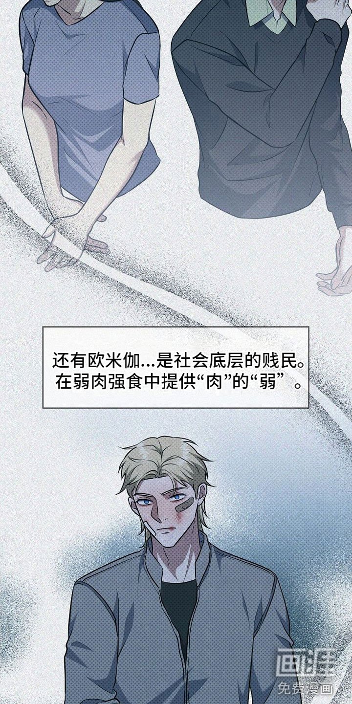 第5章：替代品