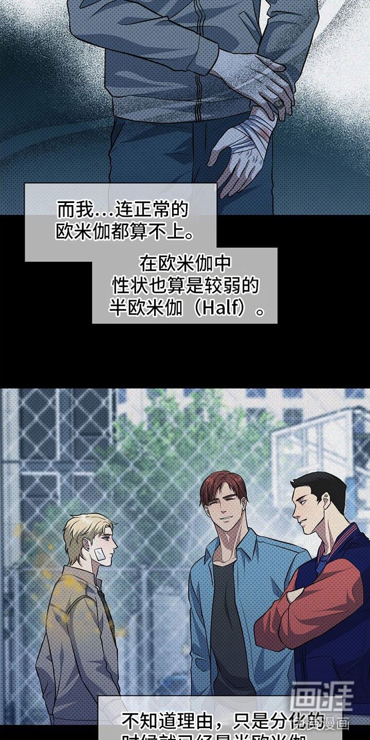 第5章：替代品