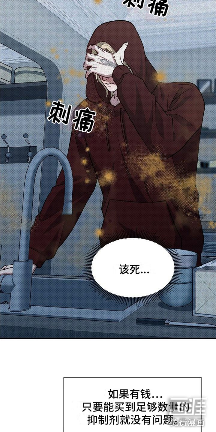 第5章：替代品
