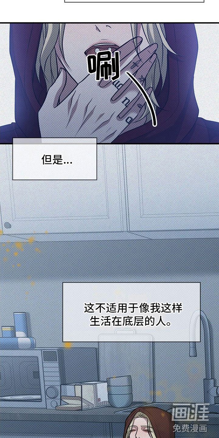 第5章：替代品
