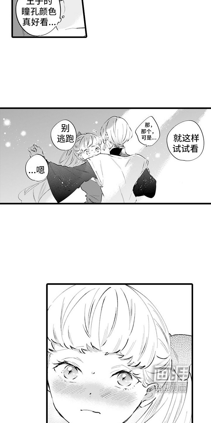 第10章：议论