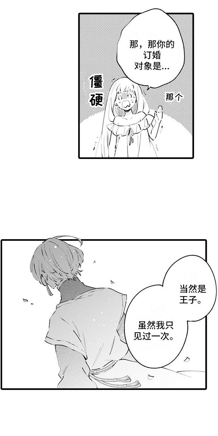 第2章：互换身体