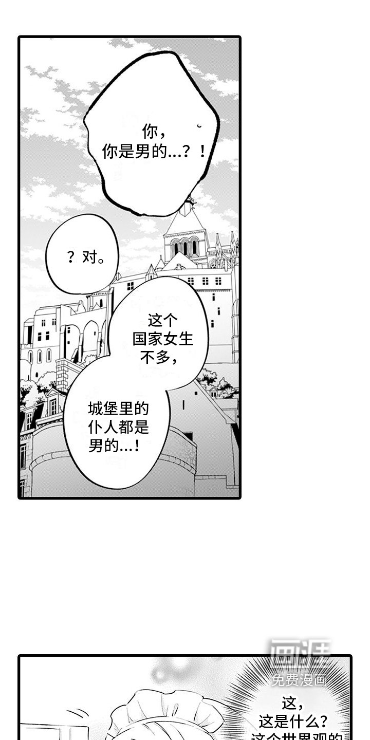 第4章：有趣