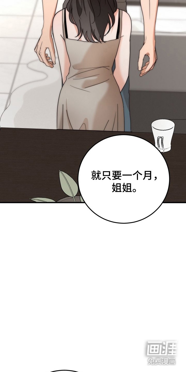 第11章：为什么这样