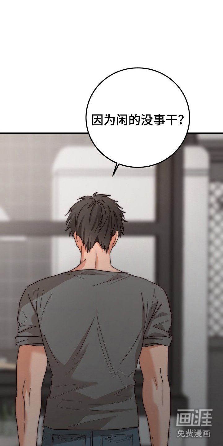 第11章：为什么这样