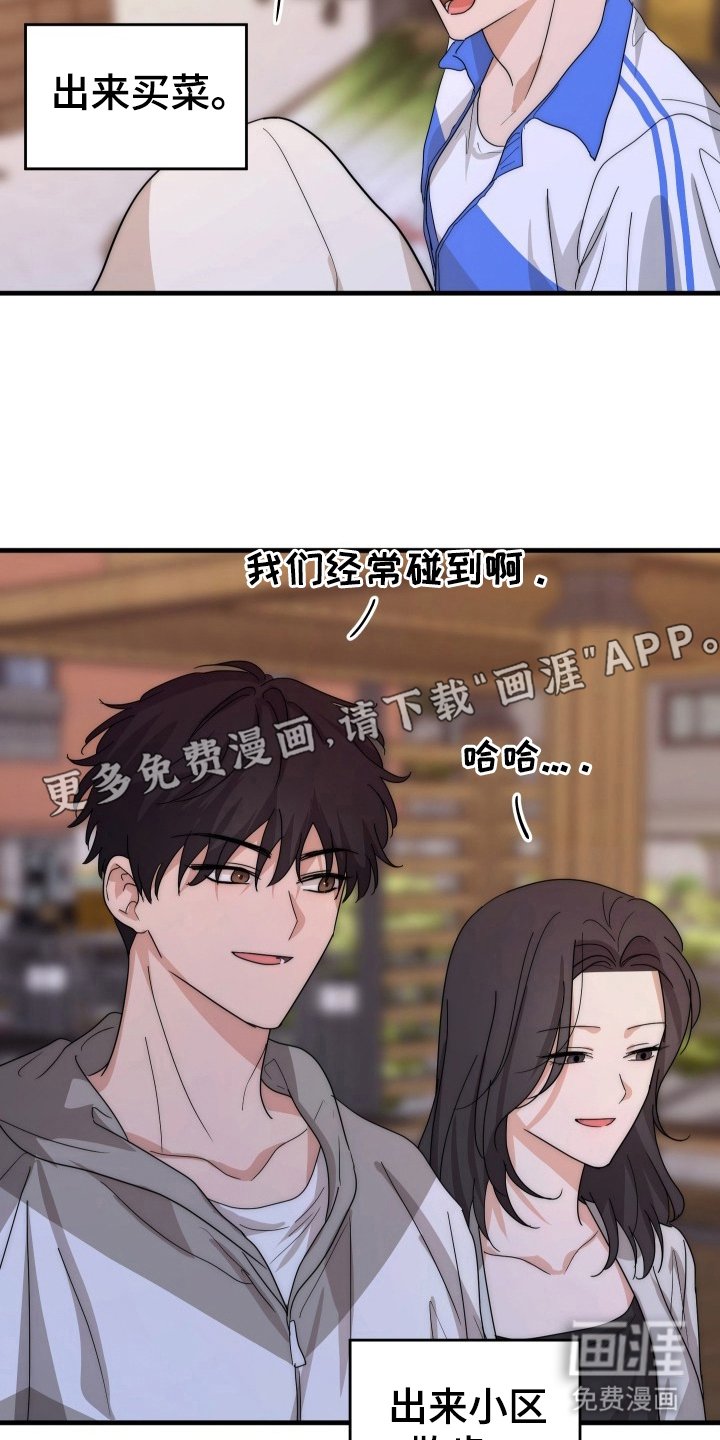 第4章：理想型