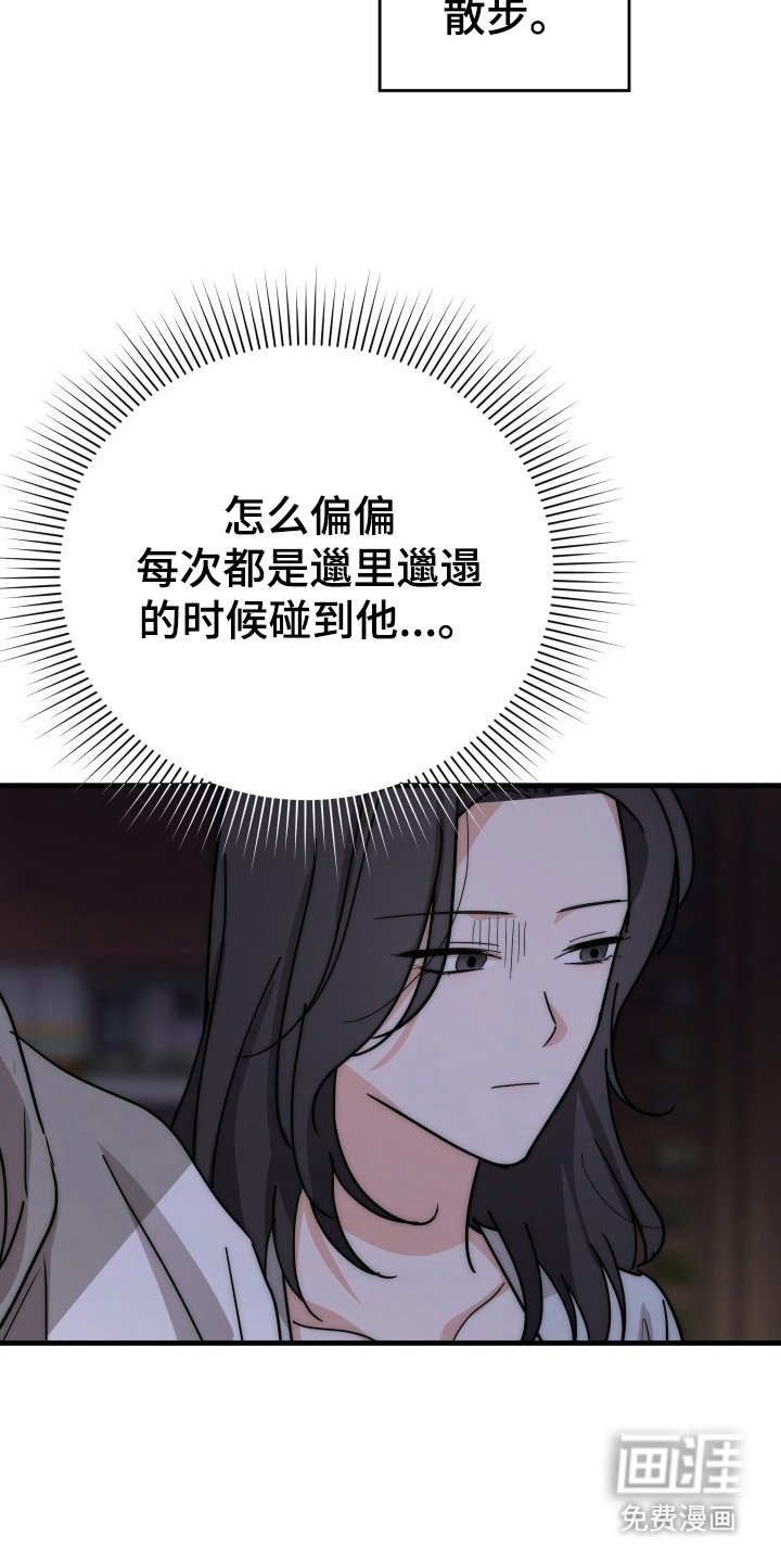 第4章：理想型