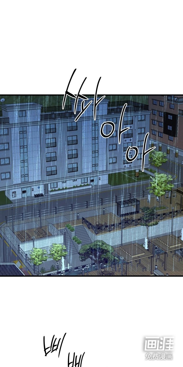 第4章：理想型