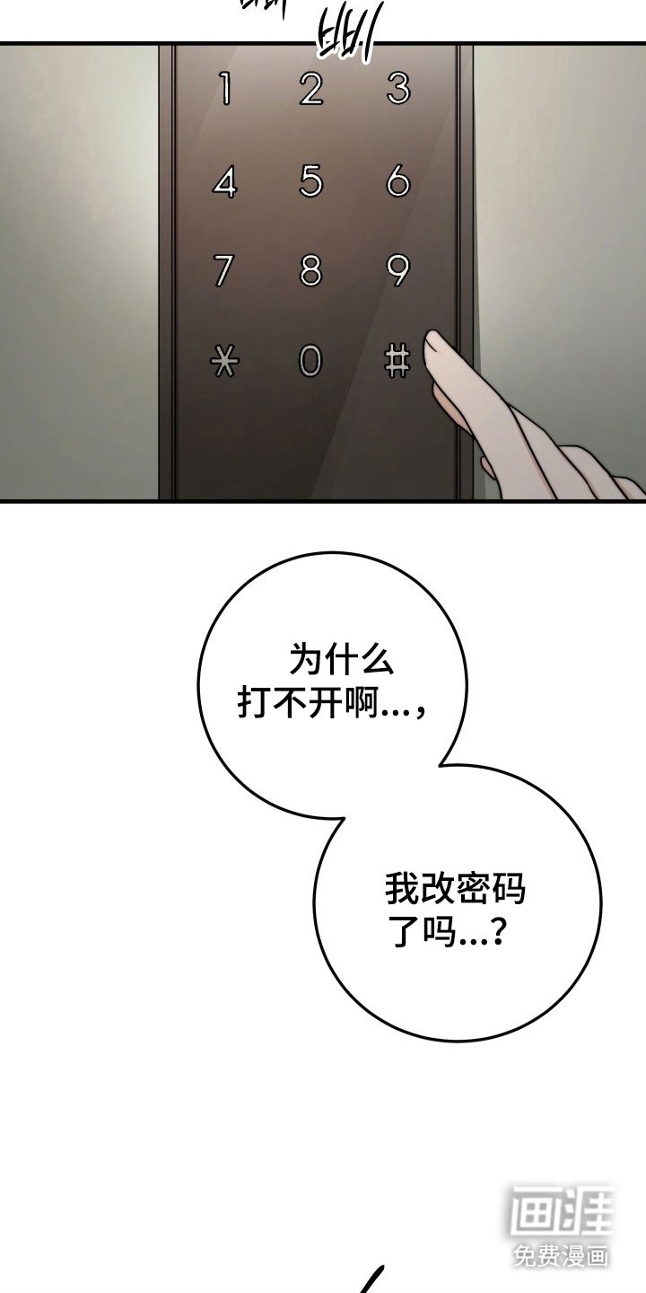 第4章：理想型