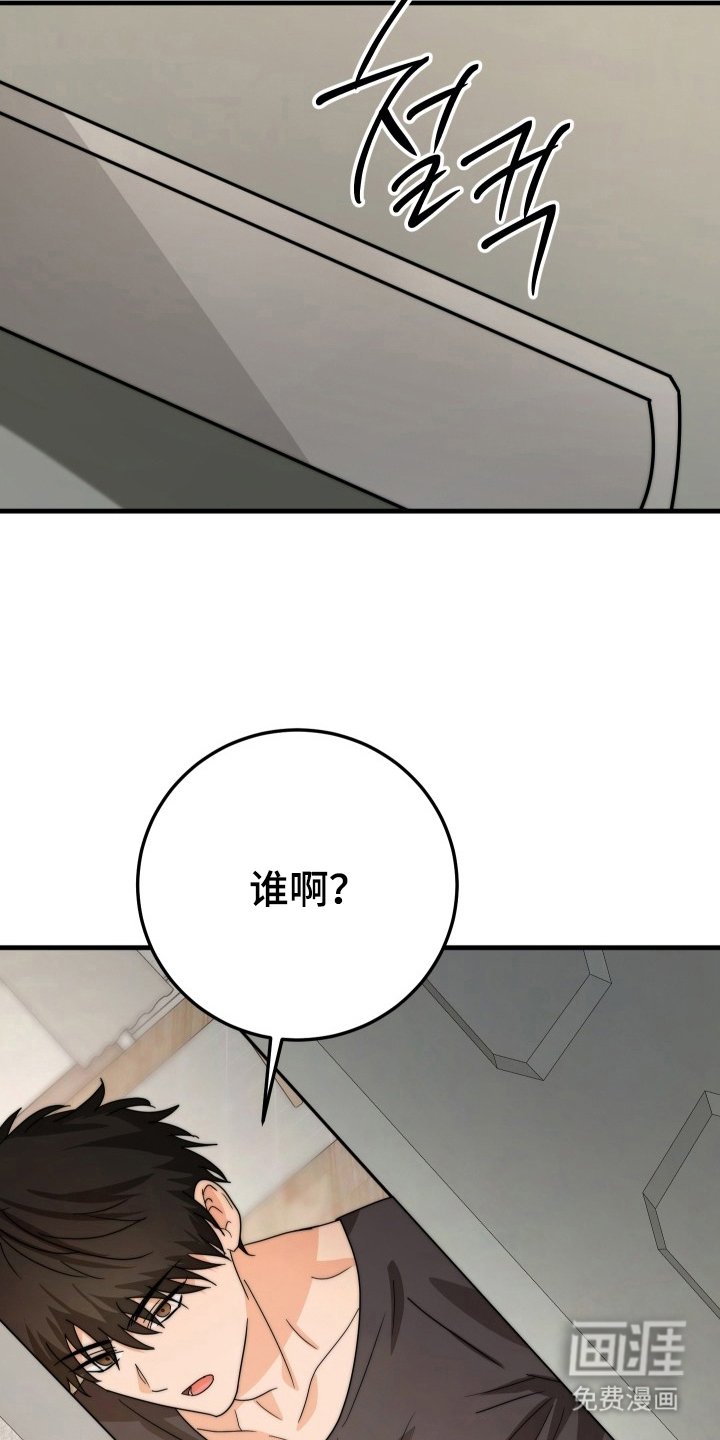 第4章：理想型