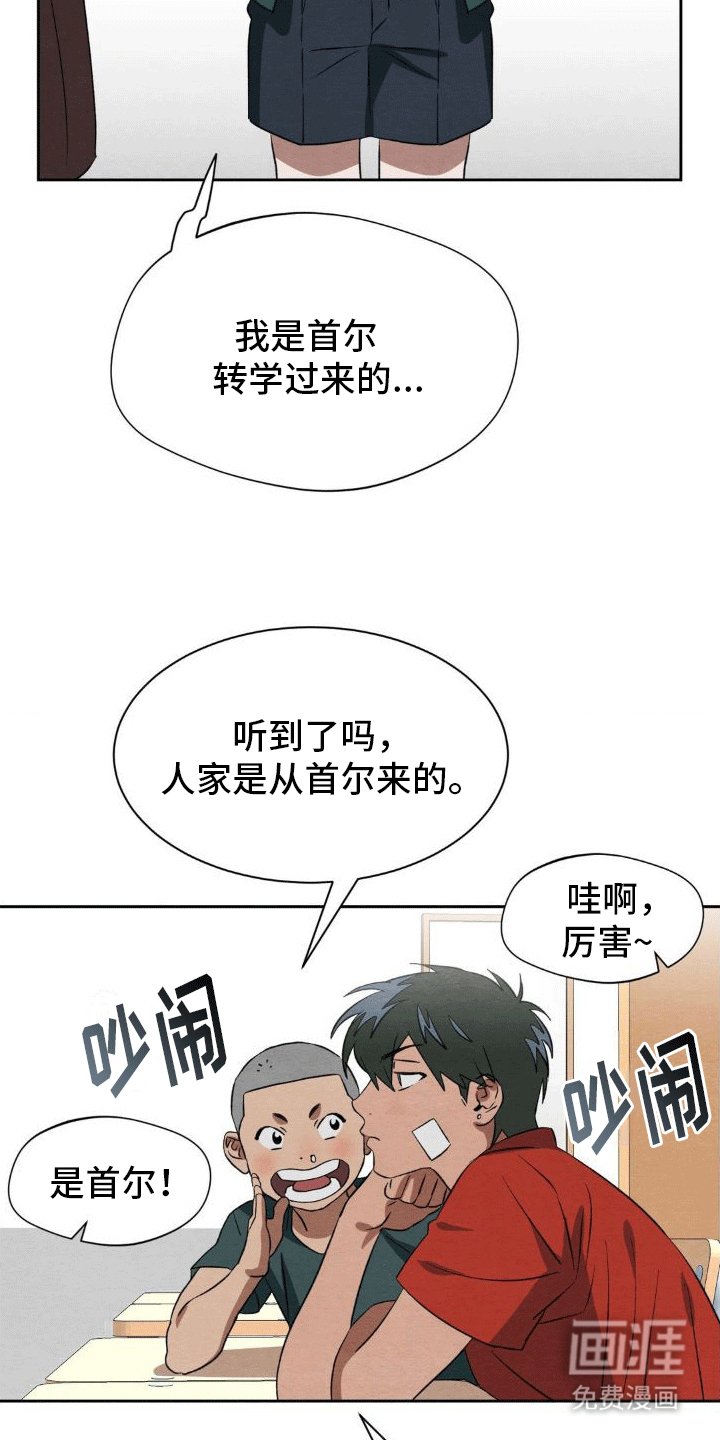 第11章：帮助