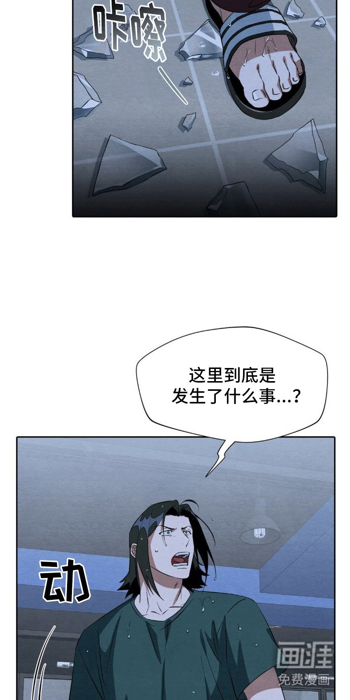 第15章：和好