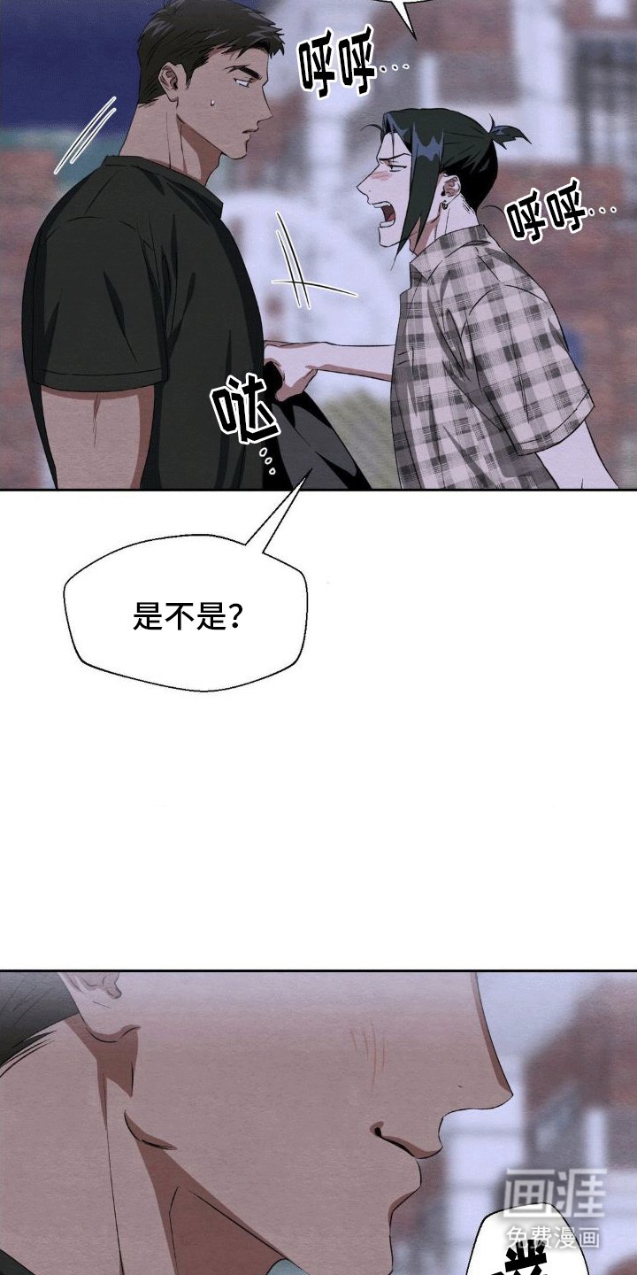 第7章：带回家