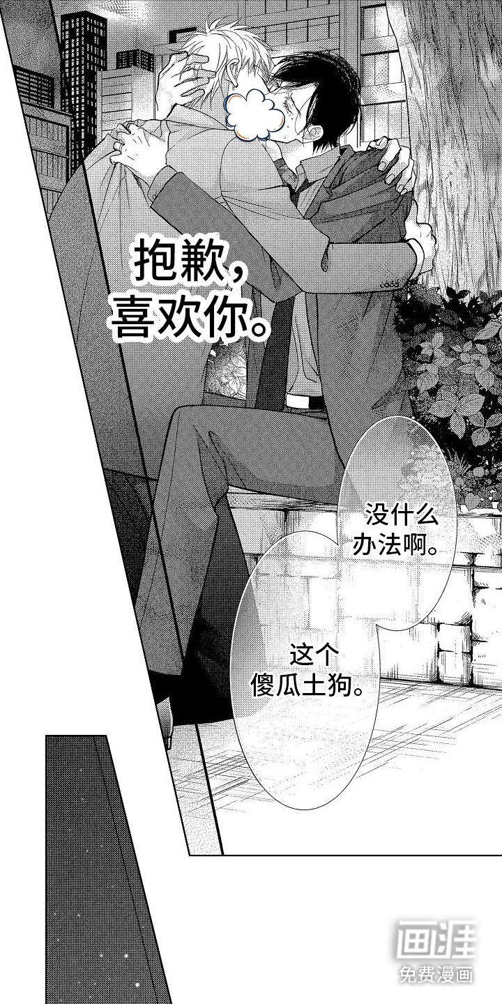 第15章：和好