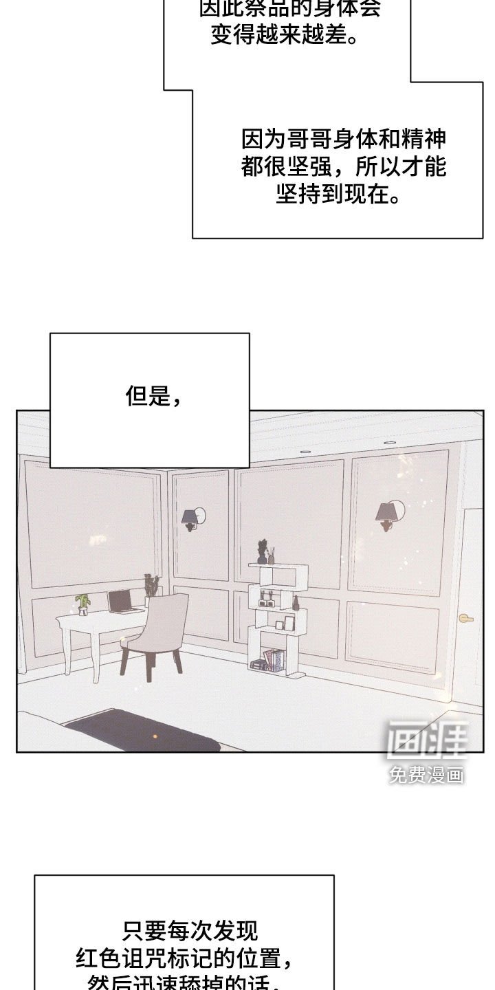 第102章：【番外】回到从前