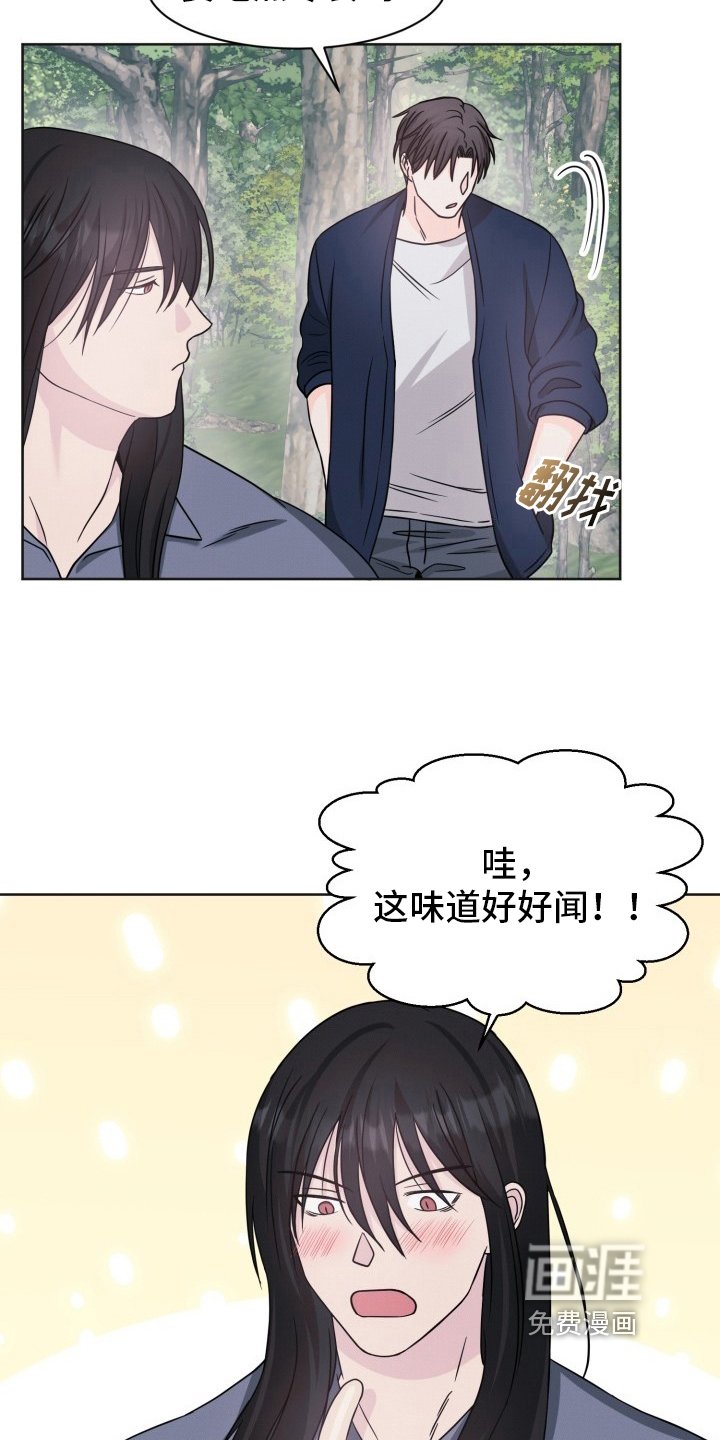 第14章：猜测
