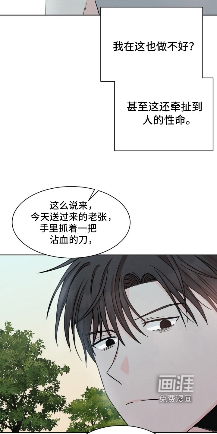 第15章：建议