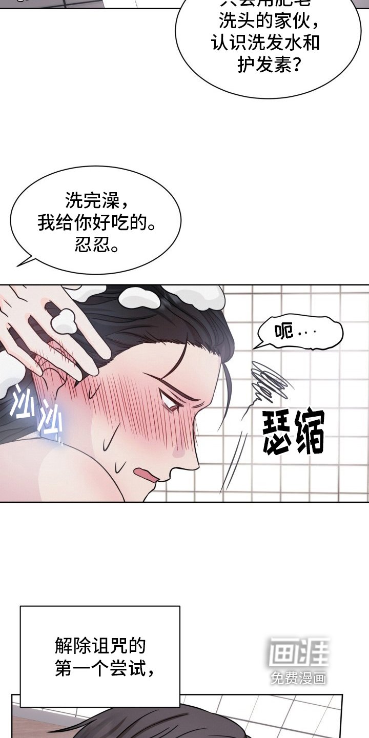第16章：带回家