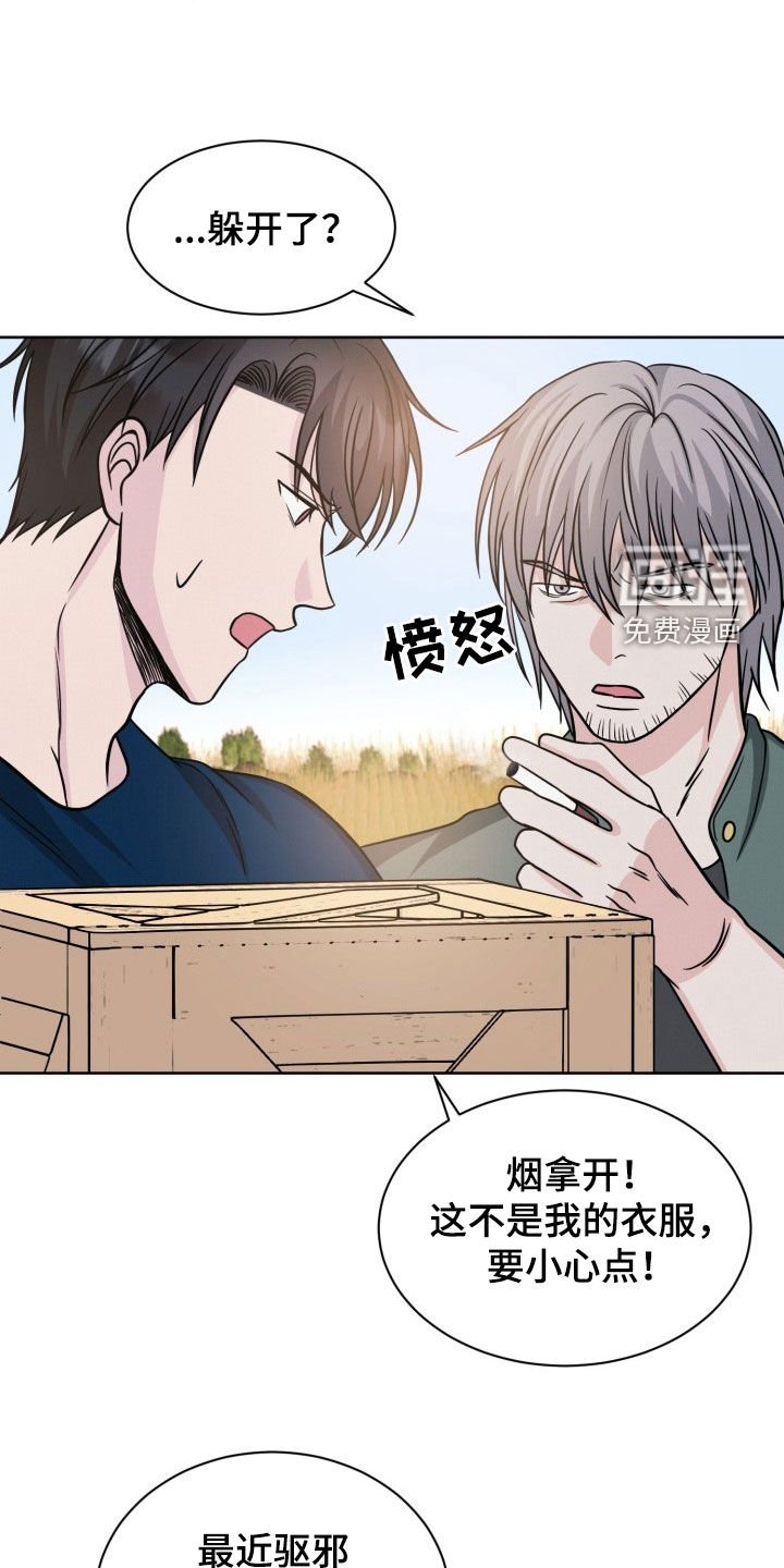 第29章：动手