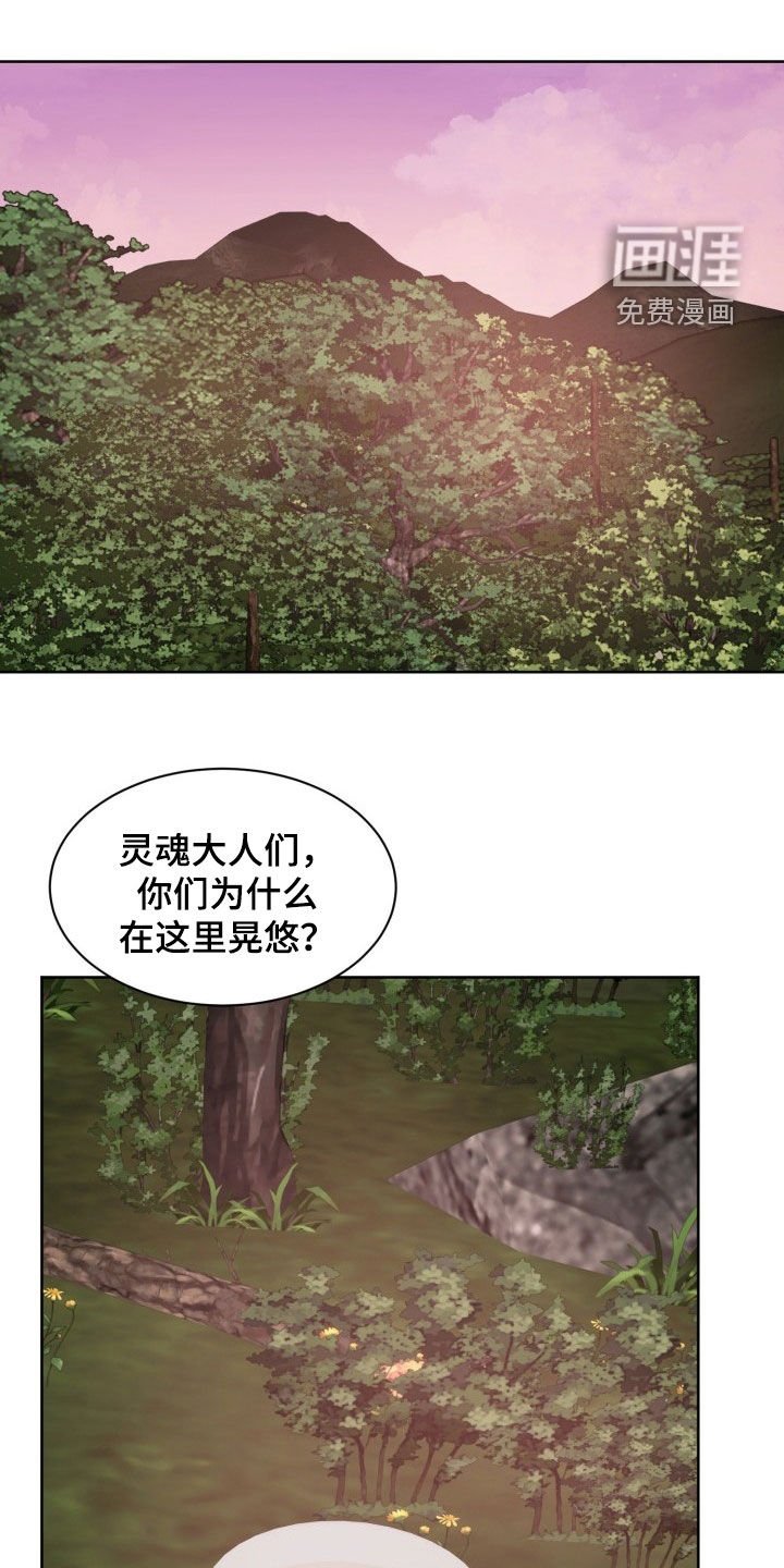 第40章：真正的主人
