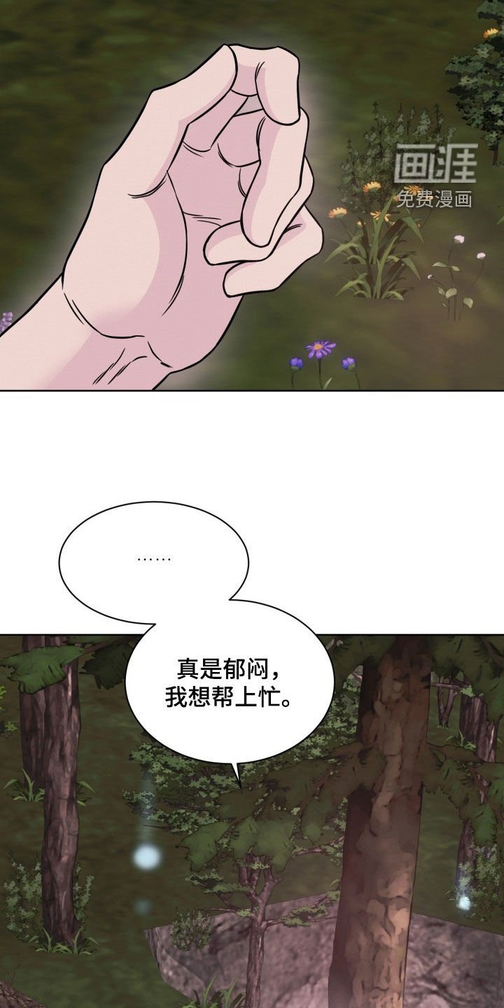 第40章：真正的主人