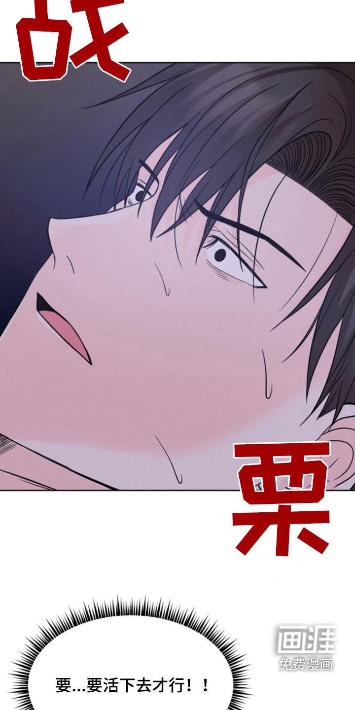 第49章：下不了手（第一季完结）