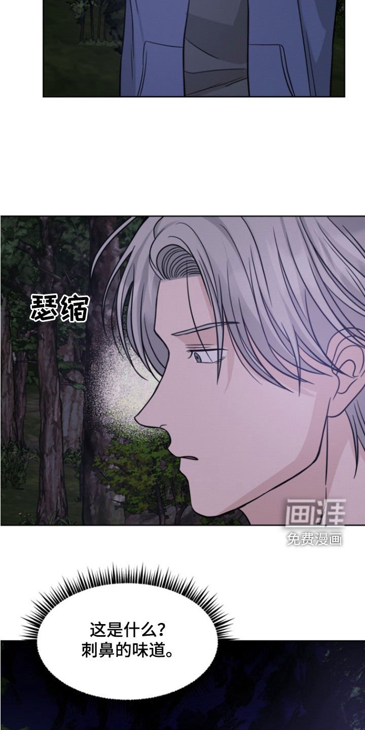 第49章：下不了手（第一季完结）