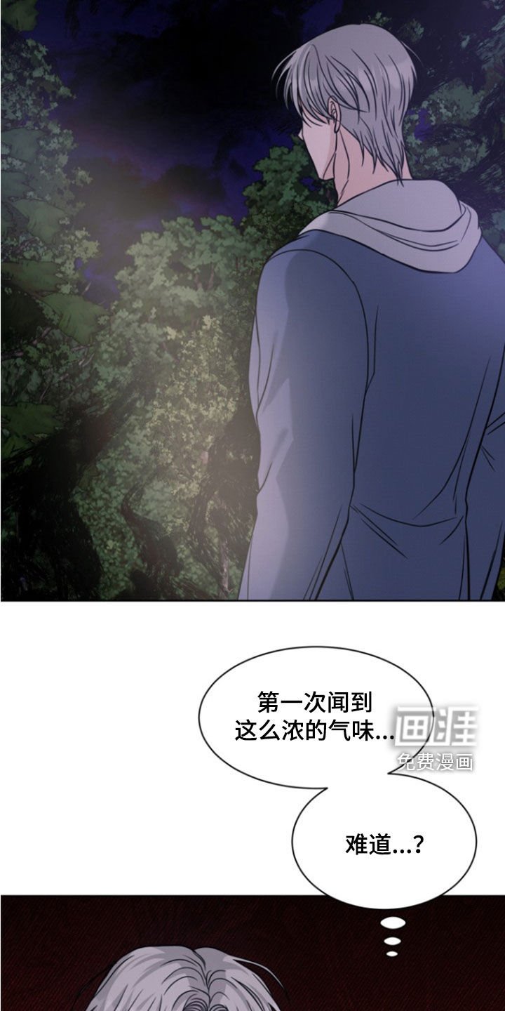 第49章：下不了手（第一季完结）