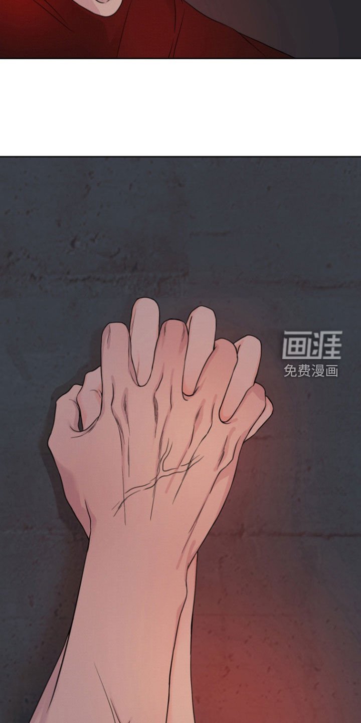 第67章：【第二季】美好的回忆
