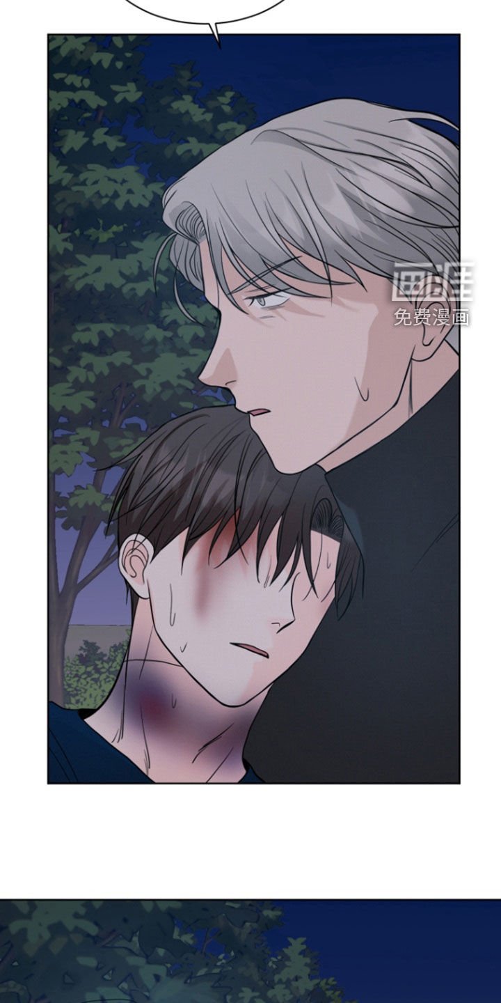第71章：【第二季】重伤