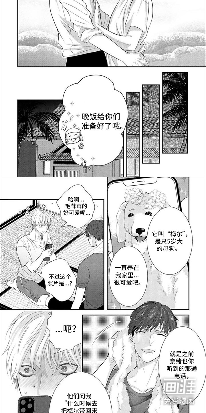 第13章：坦白