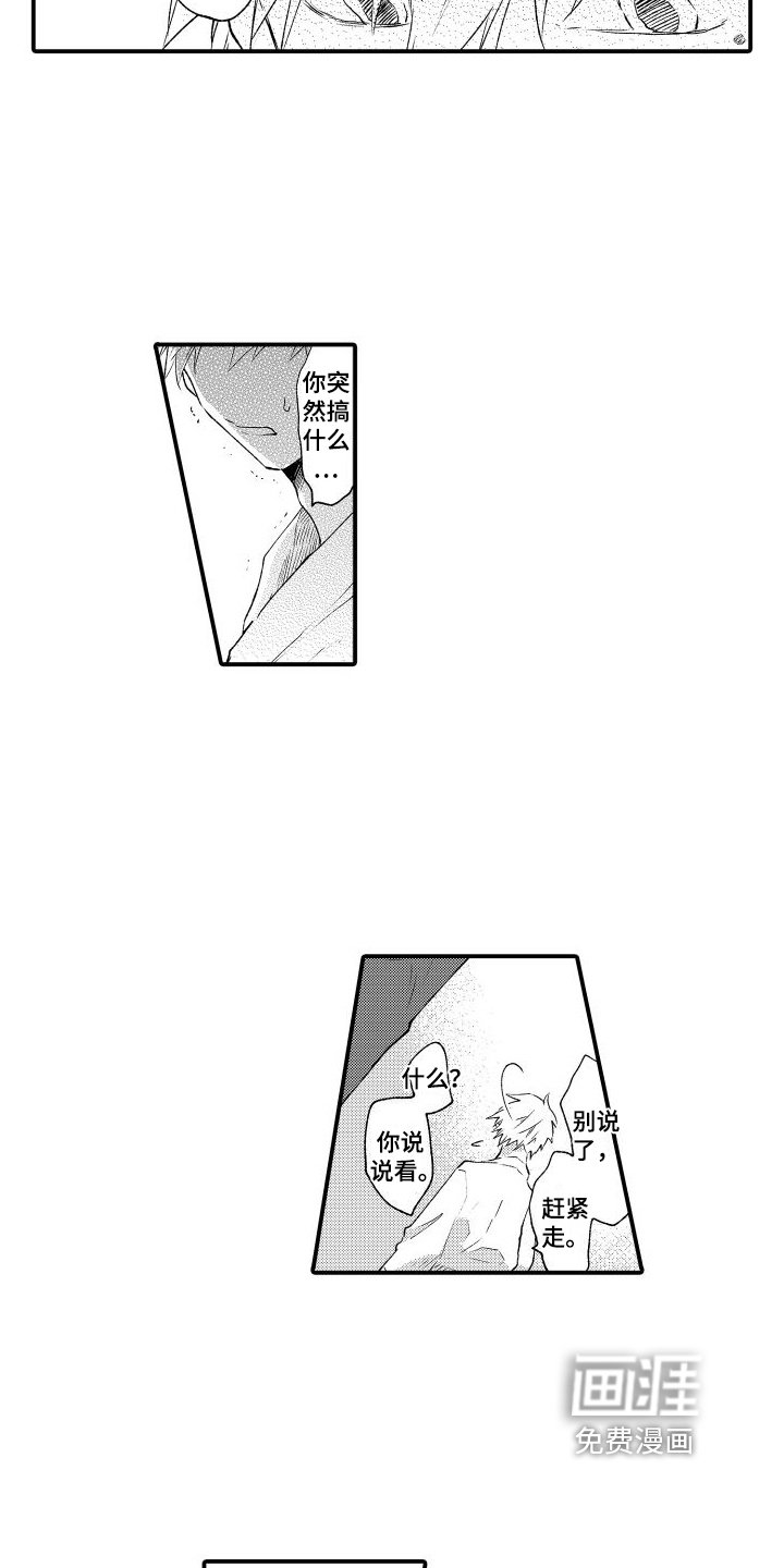 第16章：和好