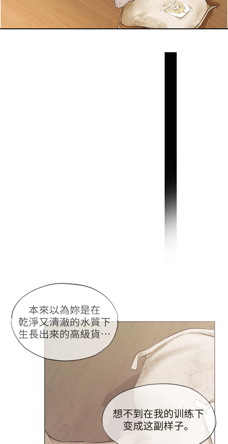 第1章：训练