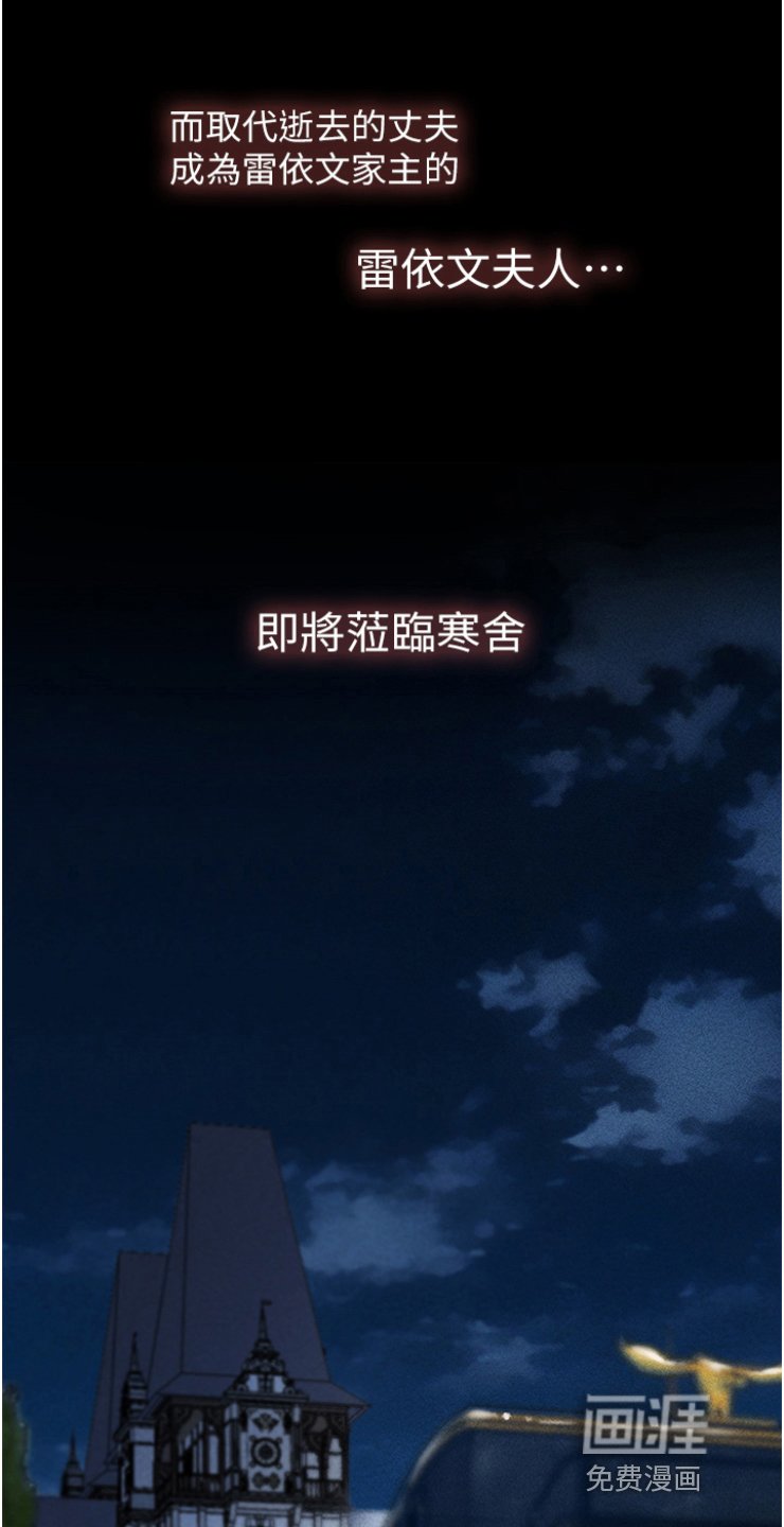 第14章：雷伊文夫人