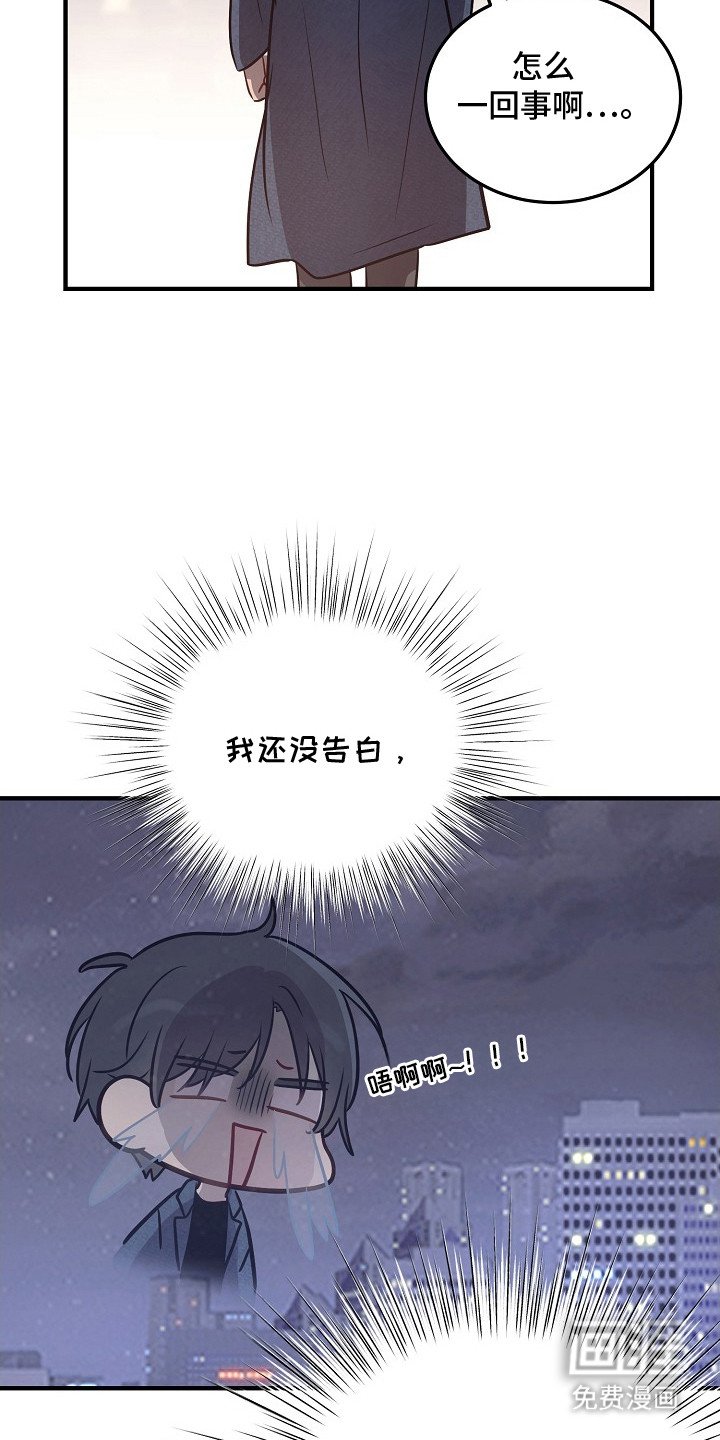 第12章：假消息