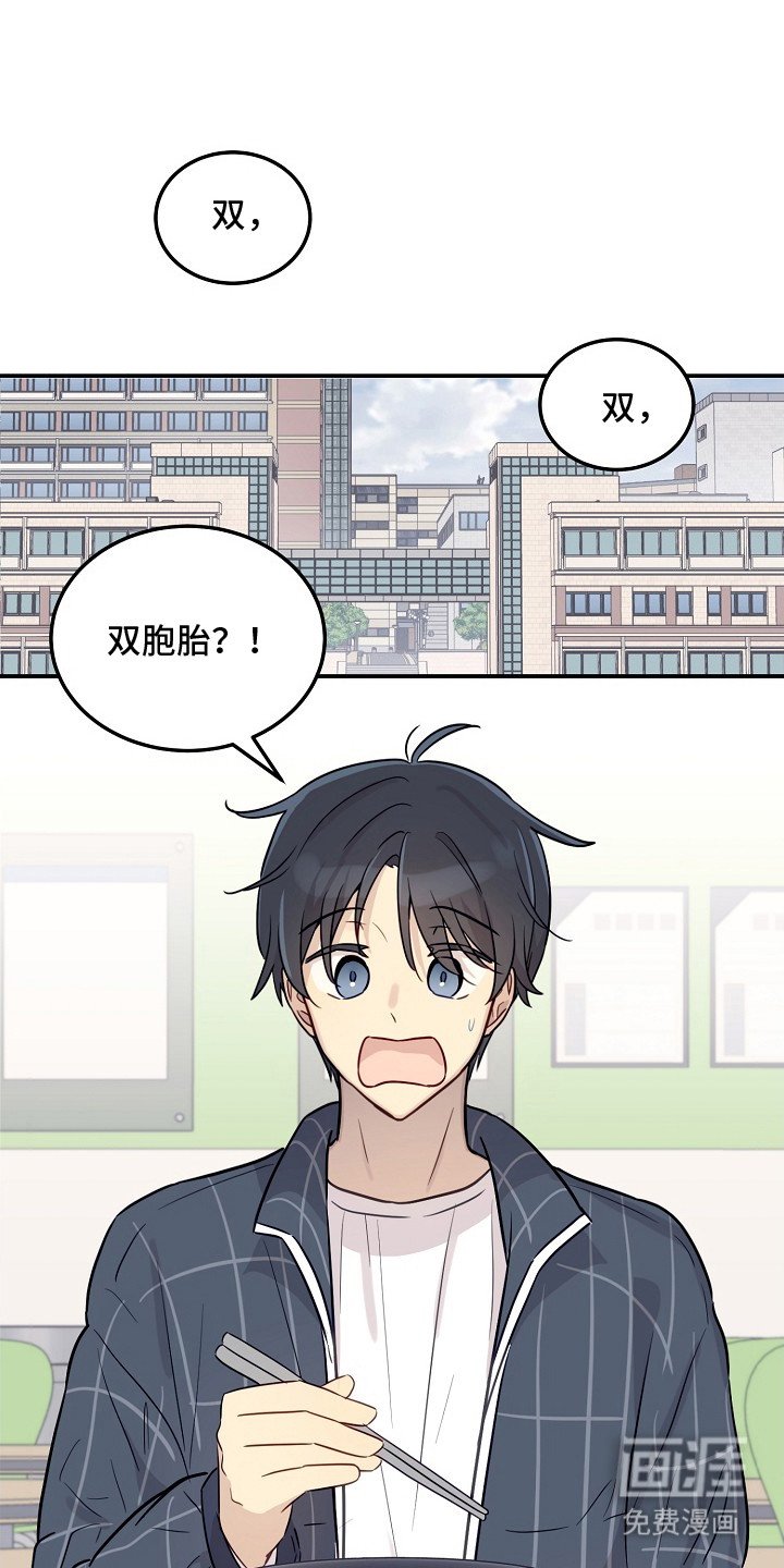 第4章：双胞胎