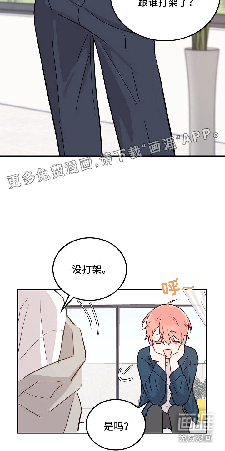 第4章：双胞胎