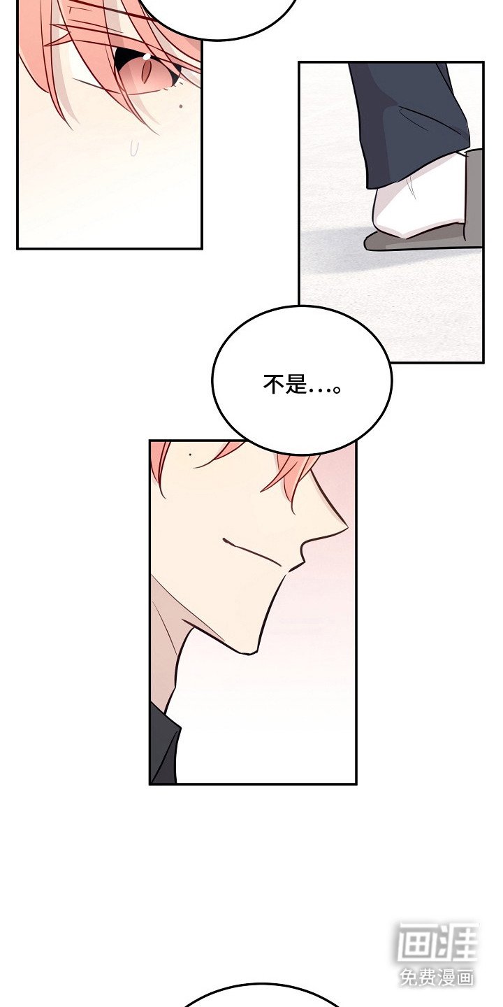 第4章：双胞胎
