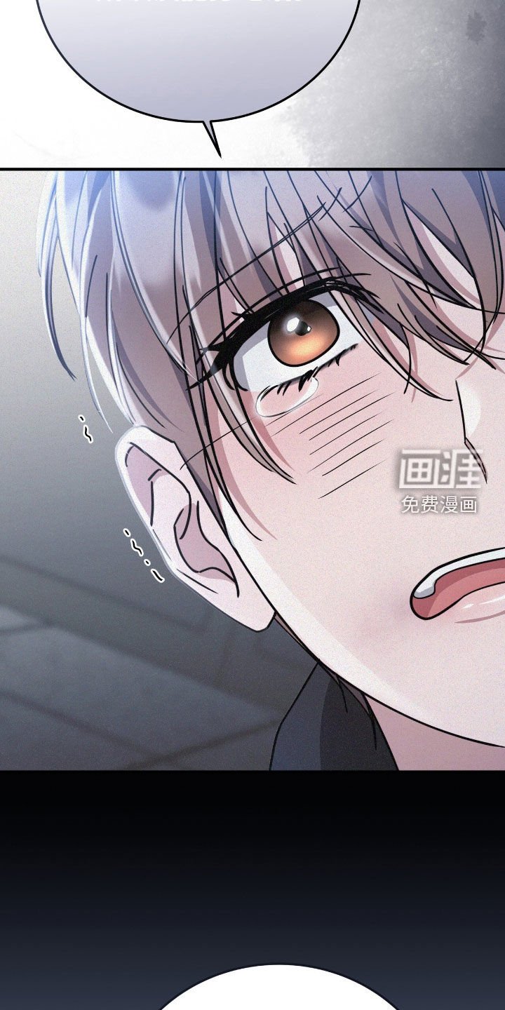 第106章：选择