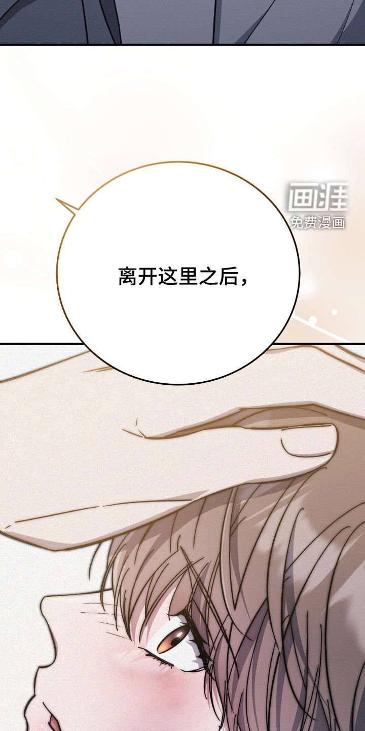 第106章：选择