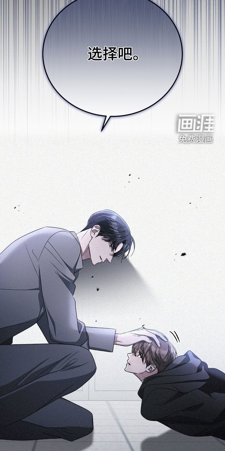 第106章：选择