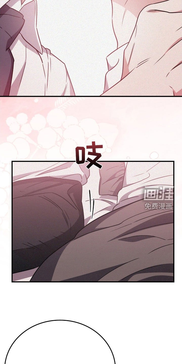第114章：就只看你