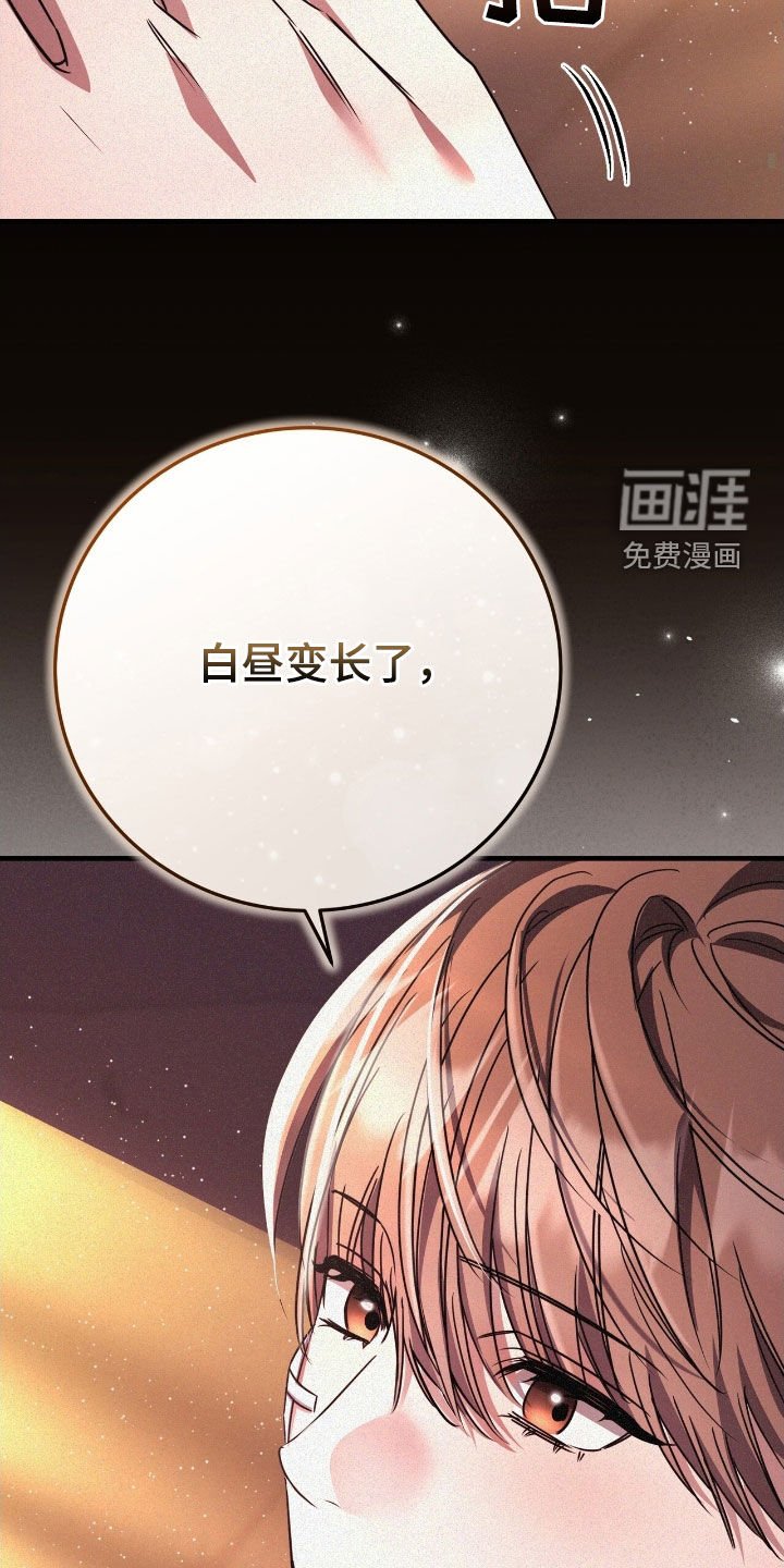第116章：我需要他