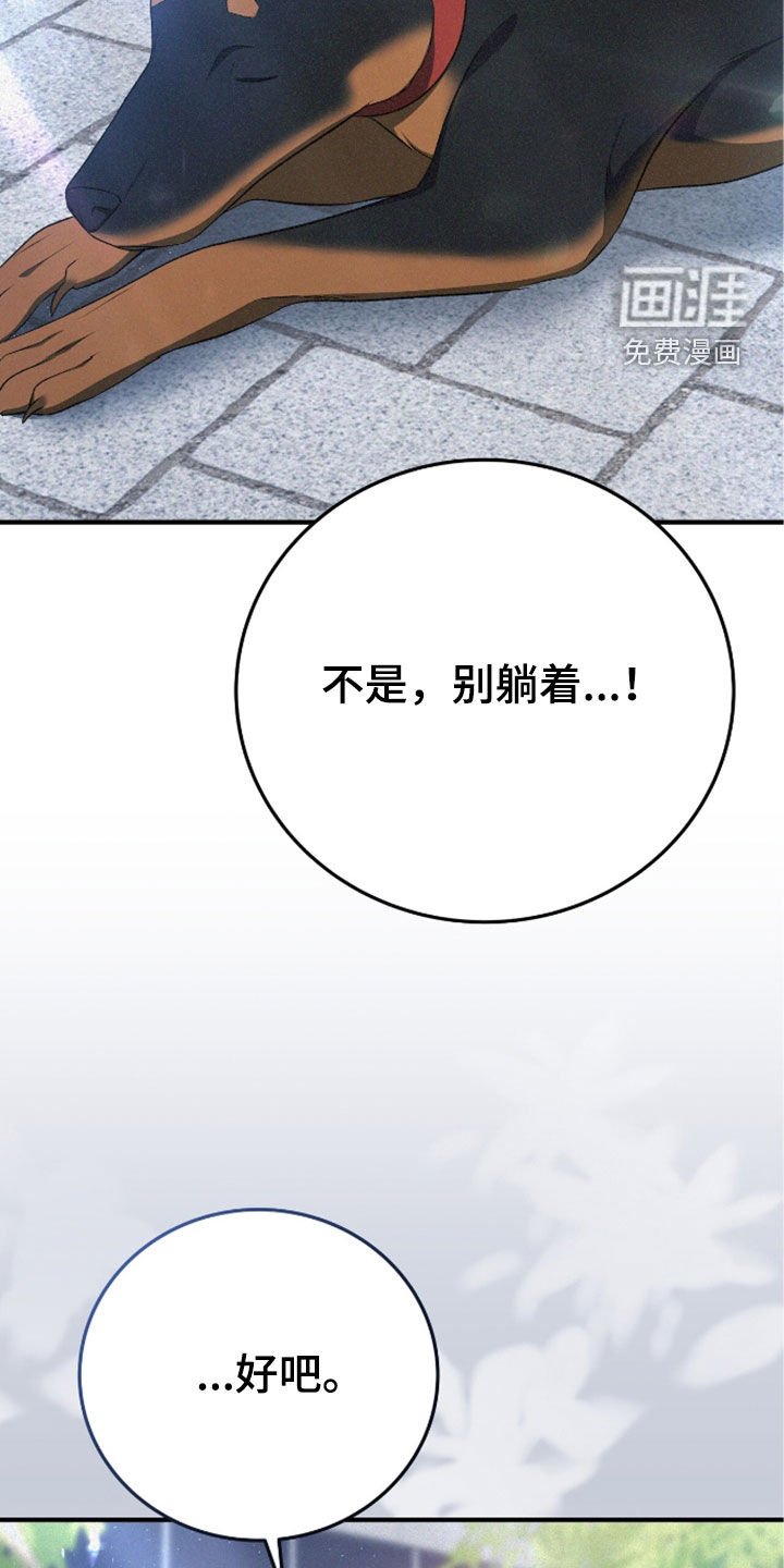 第117章：遛狗