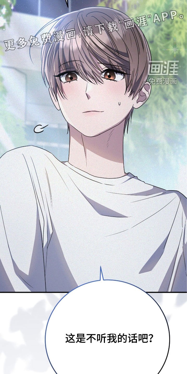 第117章：遛狗