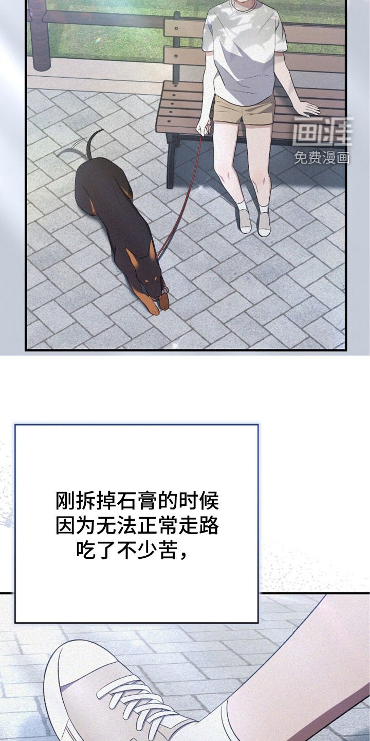 第117章：遛狗