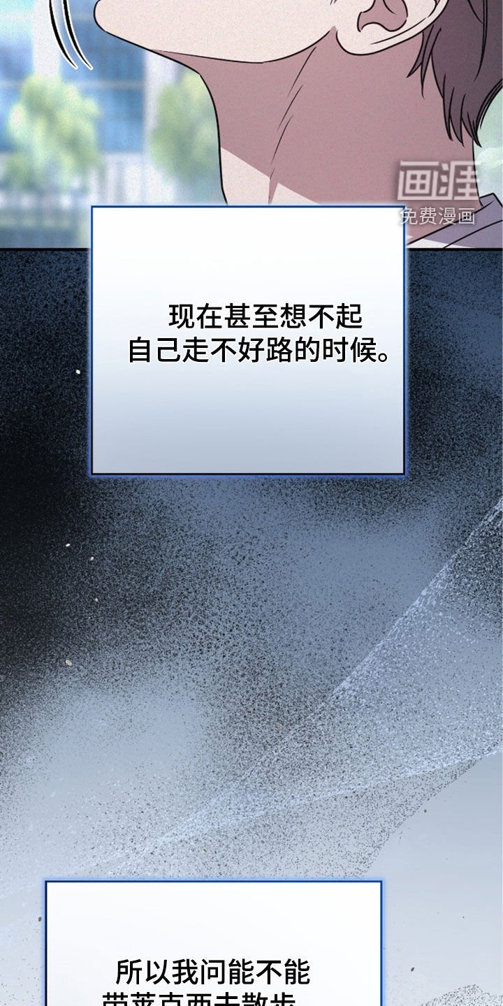 第117章：遛狗