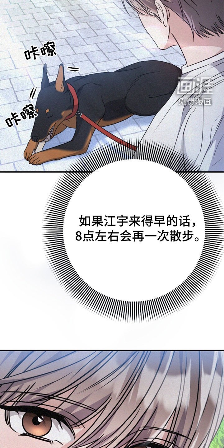 第117章：遛狗