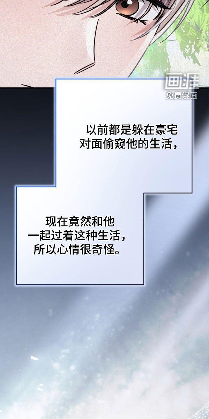 第117章：遛狗